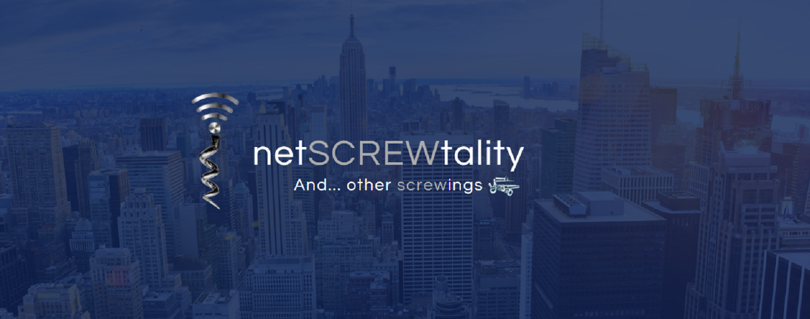 netSCREWtality cover.jpg